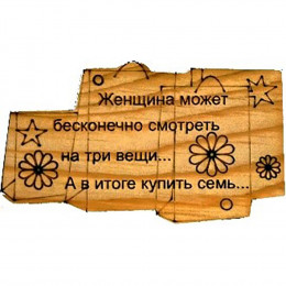 Магнит № 221 "Женщина может"